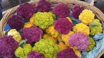 purple, yellow and green cauliflower in a basket close-up