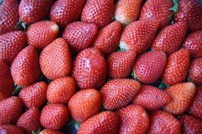 selected strawberries