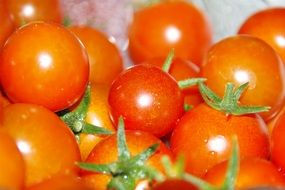 ripe small tomatoes
