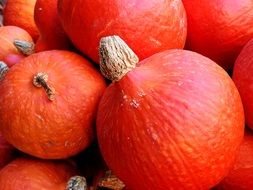 bright orange pumpkins