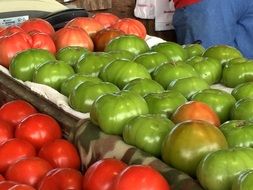 variety of tomatoes at the farmers market
