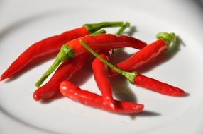 Chili peppers on a plate