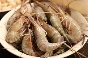 Shrimps in bowl