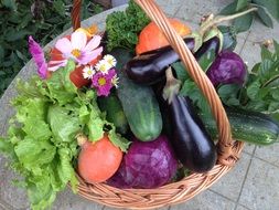 basket with Vegetables