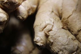 Close-up of the Raw uncooked healthy fresh ginger root