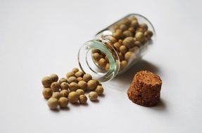 spice white pepper