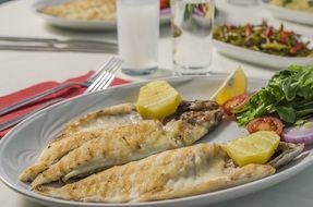 fish with lemon on a white plate