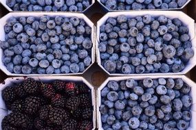 Berries Blueberries Blackberries market