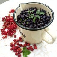 black berries in a cup