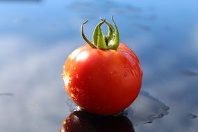 tomato in water close-up