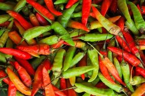 variety of fresh chili peppers
