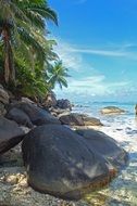 Seychelles on a beach