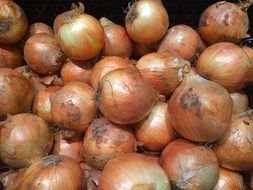 Onions Pile