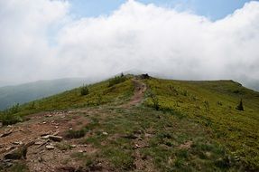 landscape of the path of mountains trekking in bieszczady