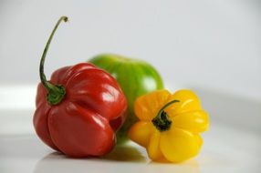 red and yellow sweet pepper