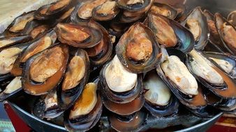 pile of Baked Scallops