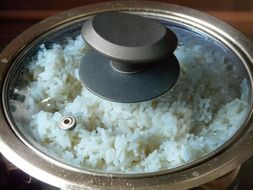 Rice Lunch