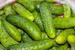 cucumbers in a box