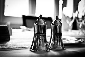 salt and pepper in shiny appliances