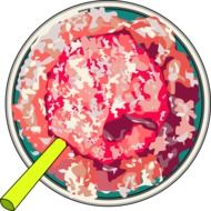 graphic image of bright summer sorbet