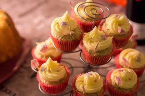 sweet cupcakes on a holiday