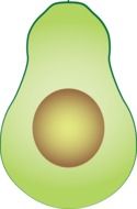 drawn half an avocado with bone