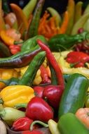 variety of bright pepper