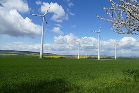 beautiful landscape with windmills