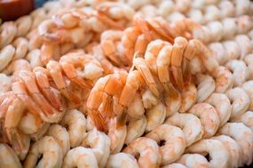 Shrimps