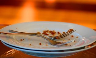 Empty plate from eaten up cake