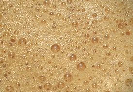 coffee foam Bubbles