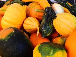 various pumpkins