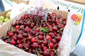 cherries in the farmer's market
