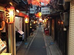 Traditional Japanese Food on city streets