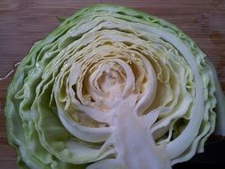 half cabbage
