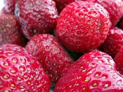 ripe red strawberries closeup