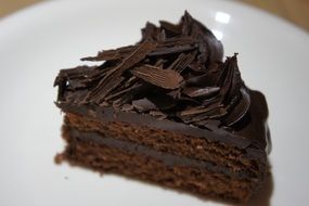 chocolate cake with chocolate decorations