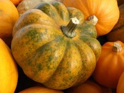 yellow halloween pumpkin