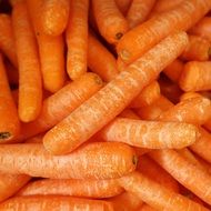 fresh Carrots Vegetable closeup