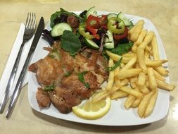 Chicken with vegetables and fried potatoes on Dish