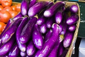 purple eggplant