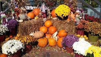 thanksgiving decoration in a farm