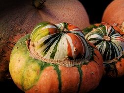 ornamental pumpkin for halloween