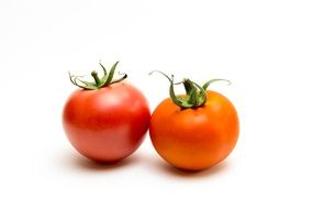 red and orange tomato