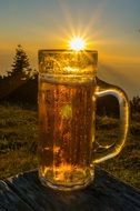 Beer Sunshine