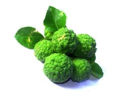 fresh bright Bergamot Fruit Leaf Isolated