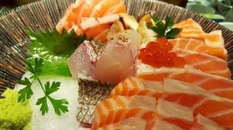 cold appetizer with salmon
