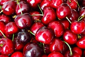 washed red cherries