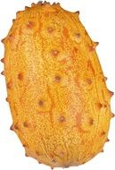 yellow Horned Melon closeup