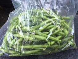 fresh Green Beans in plastic bag